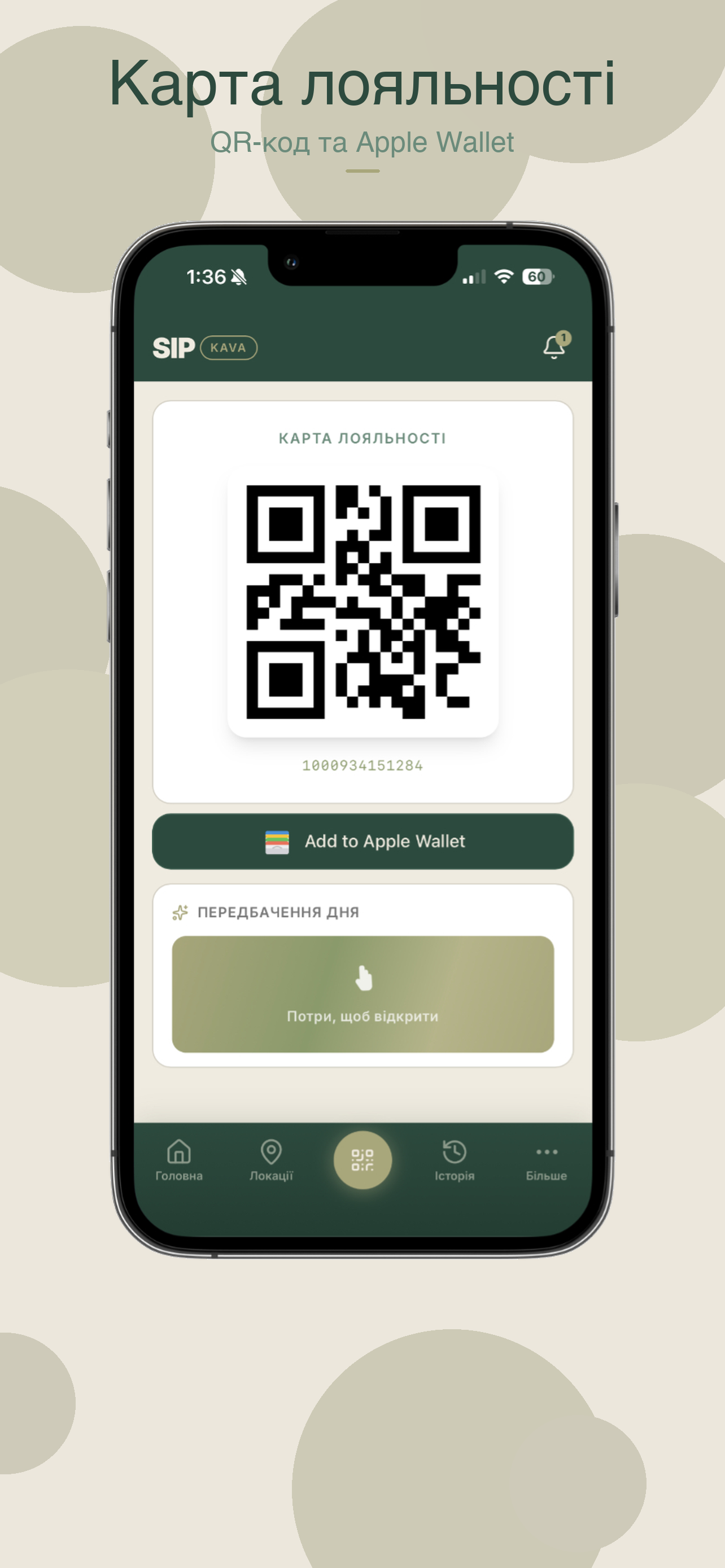 SIPKAVA — historia